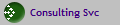Consulting Svc