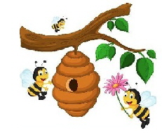 honeybee01