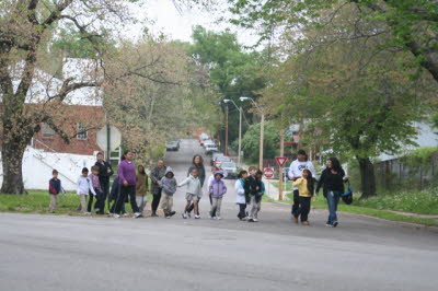 Chicken Walk