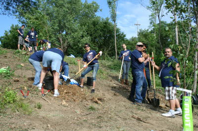 Timberland Westside Community Orchard