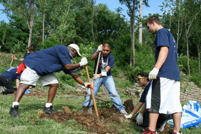 Timberland Westside Community Orchard