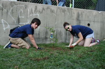 Timberland Westside Community Orchard