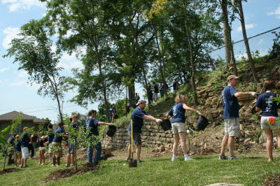 Timberland Westside Community Orchard