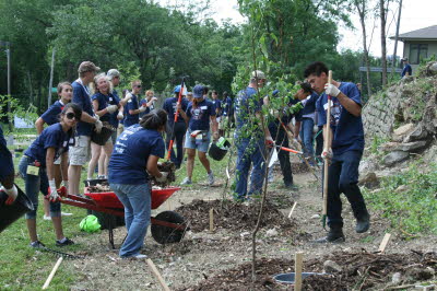 Timberland Westside Community Orchard