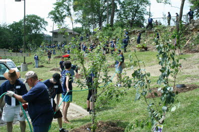 Timberland Westside Community Orchard