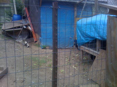 KansasCityUrbanFarms&GardensTour2011